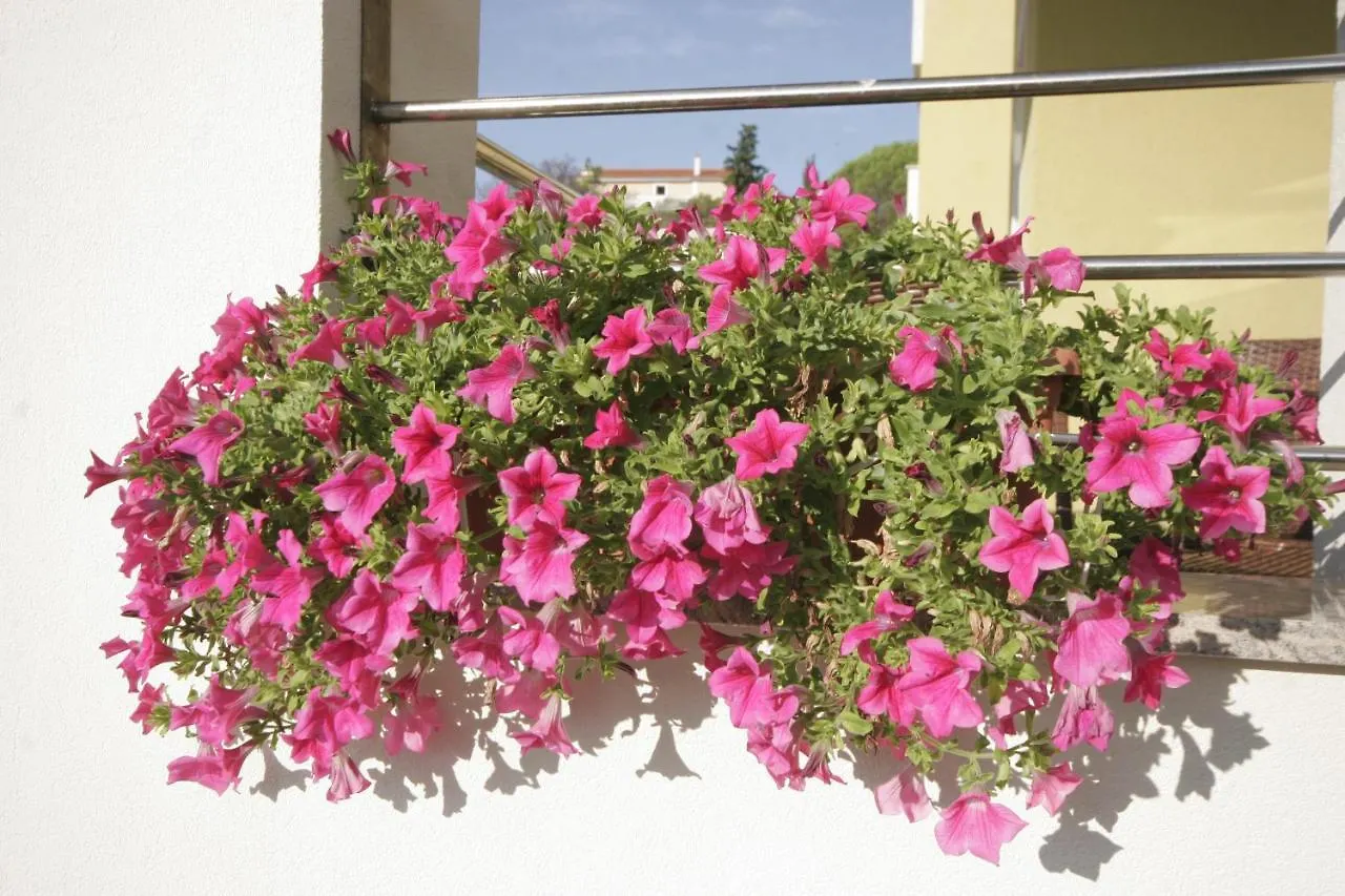 Apartments Salatic Krk Town